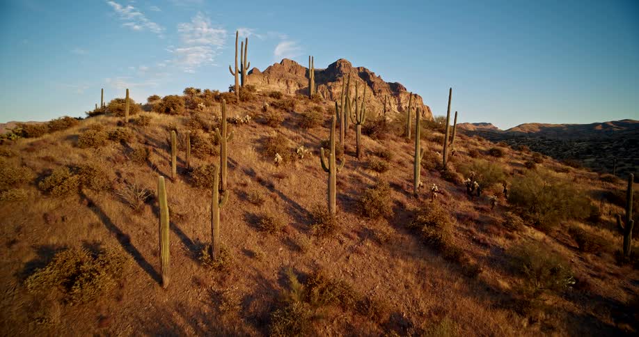 Dry plants and cactus on a mountain with a rocky mountain formation in the distance