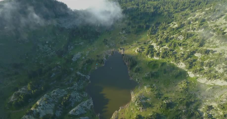 Aerial view of a lake and trees