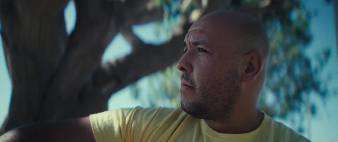 A man is sitting under a tree looking at his phone then around him