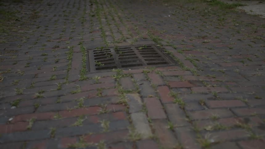 Grass grows around the bricks and a sewer grate in a road