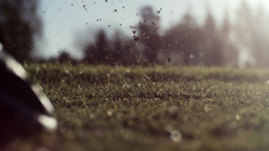 Golf club strikes the ball on a sunlit lawn with trees in the background