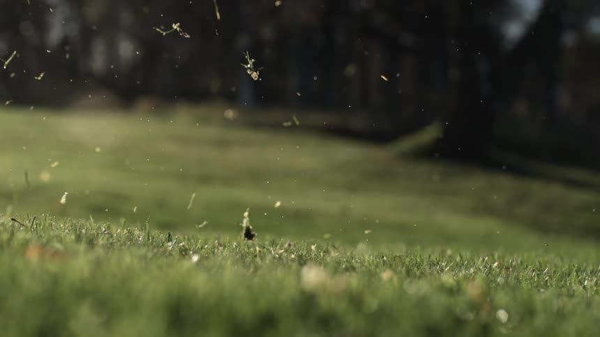 Club striking the golf ball and lifting bits of grass