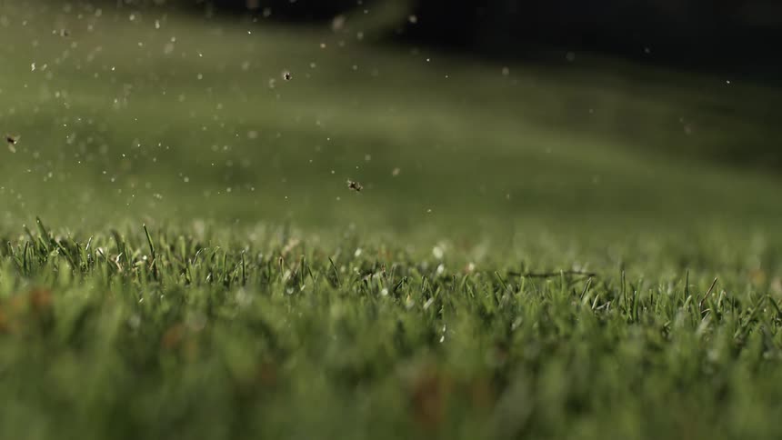 A close low angle view of grass shows blades and soil flying after a gold club hits a golf ball