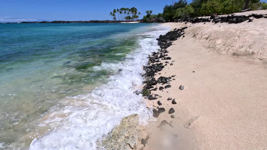 Surf foams while it passes over the algae and rocks on the edge of the beach on a sunny day