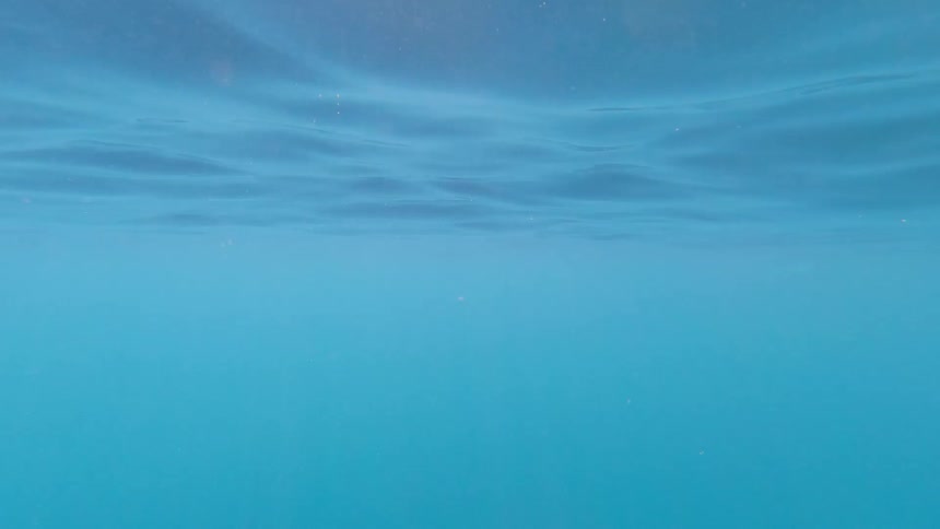 The surface of a body of water seen from underwater