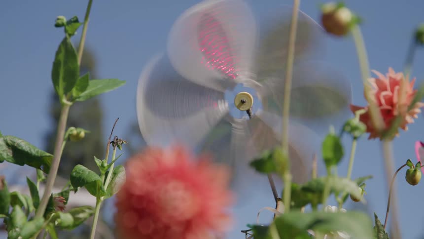 Colorful pinwheel spins among flowers under the sunny sky