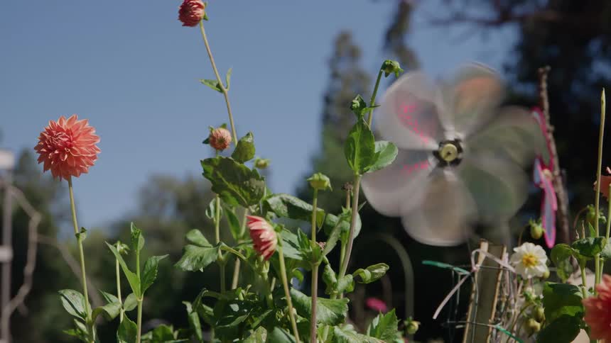 A small pinwheel spinning rapidly in front of flowers in an outdoor setting