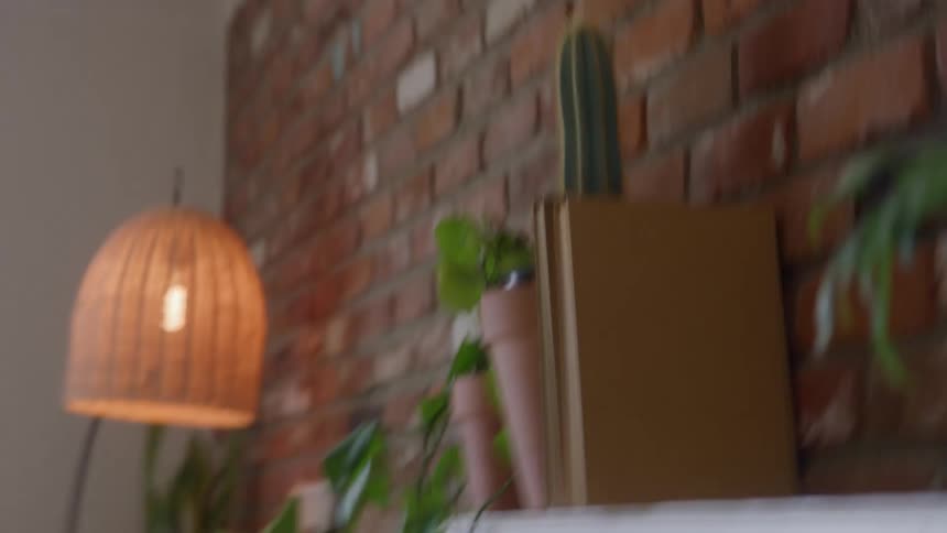 A white shelf in a living room shakes during an earthquake causing a red book to fall off next to houseplants and a lamp