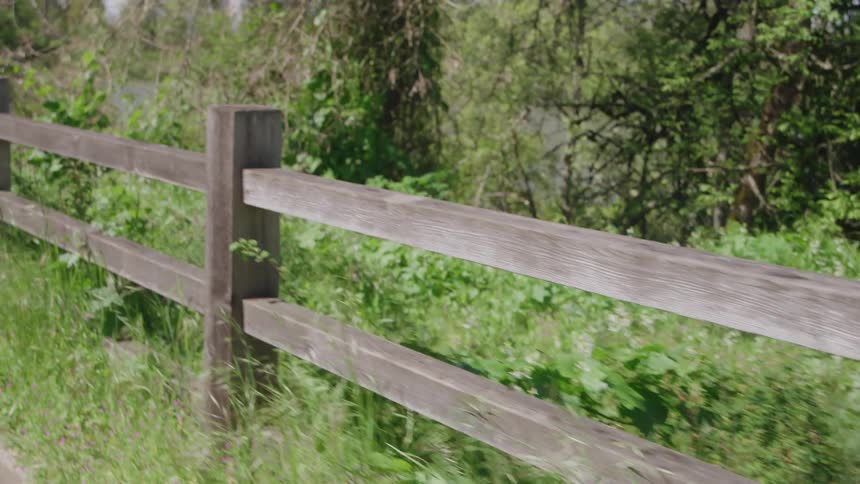 Weathered wooden fence parallels a path passing overgrown terrain in the countryside