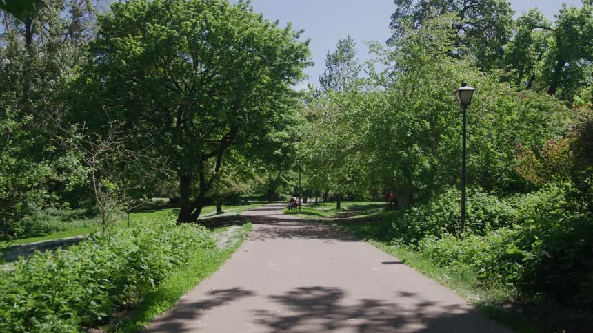 People on a park from a distance sitting on a bench next to a path surrounded by trees outdoors by day time