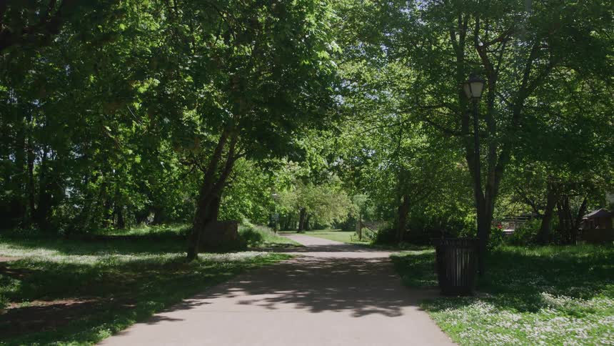 Traveling on a neighborhood street with trees and woods