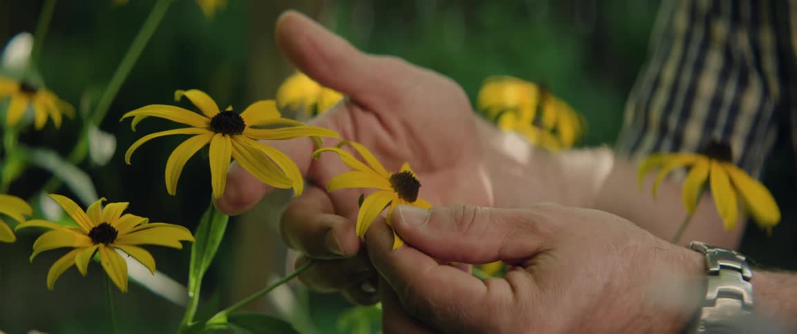 A man gently holds a live flower and feels it petals with his fingers