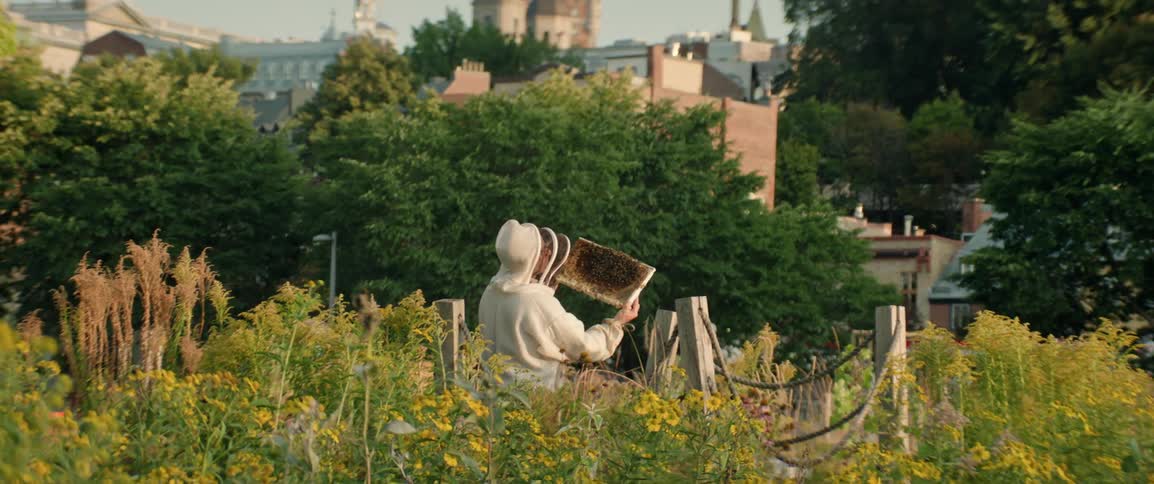 A beekeeper inspects honeycombs in a lush garden surrounded by greenery