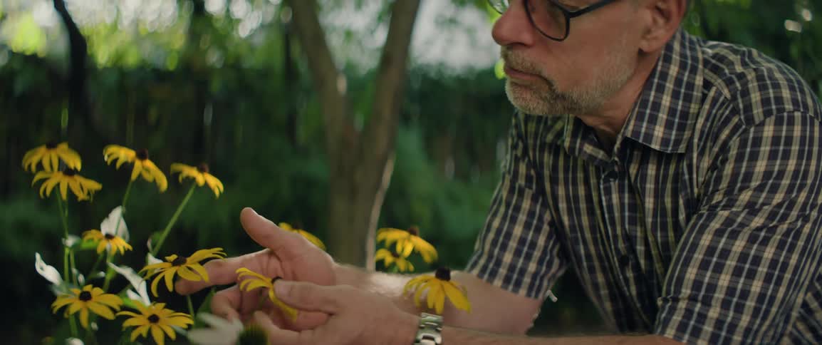 A middleaged man wearing a plaid shirt and wristwatch is gently holding and examining the petals of a bright yellow flower in a garden