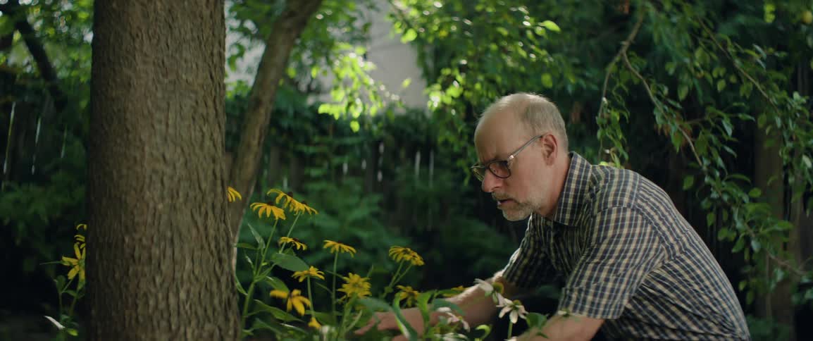 Bald man wearing glasses inspecting plants and flowers outdoors during day time
