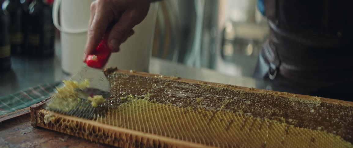 Man extracting honey from the honeycomb of a beehive