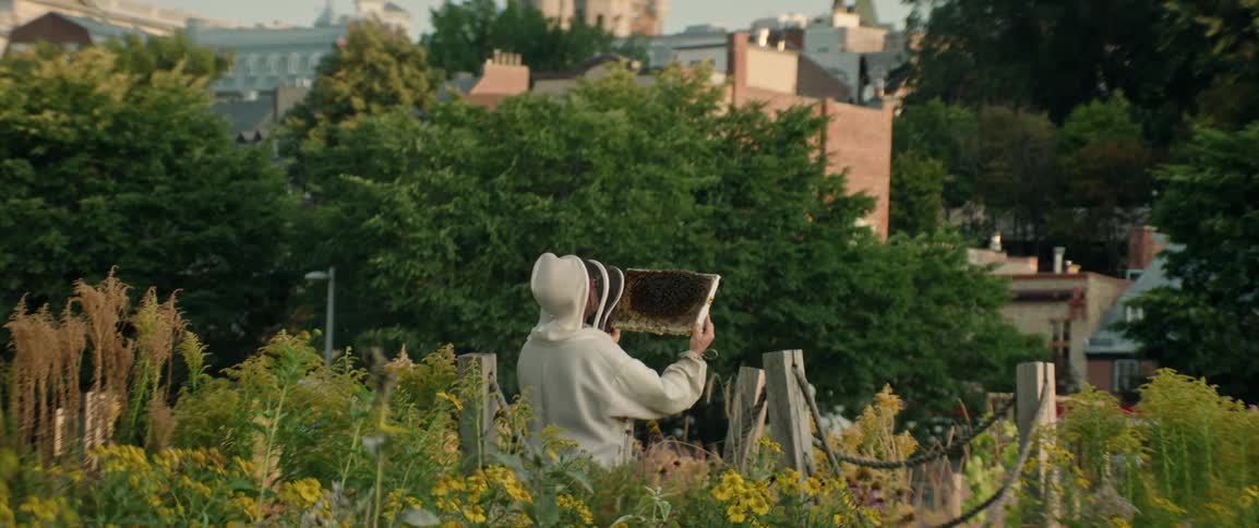 Beekeeper examines a hive frame in a field surrounded by flowers
