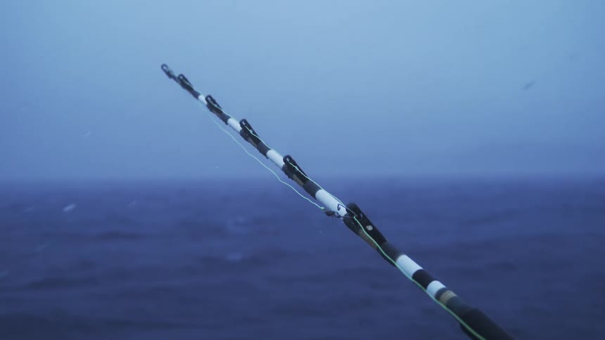 A fishing pole is extending over the water in an ocean as a bird flies by