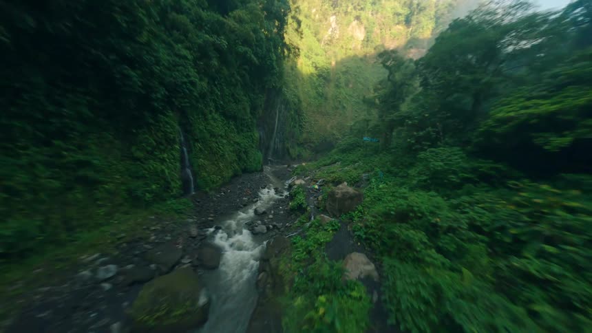 An aerial view flying through a forest