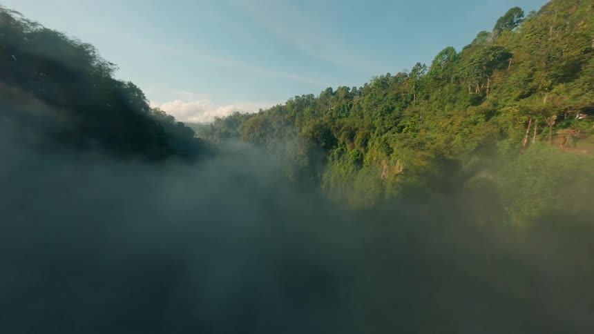 An aerial view flying through a forest