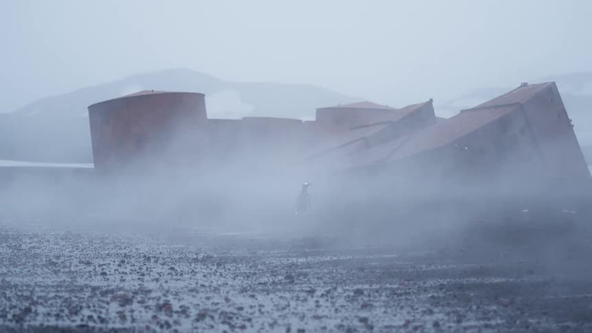 Penguin walks among rusty structures shrouded in thick fog