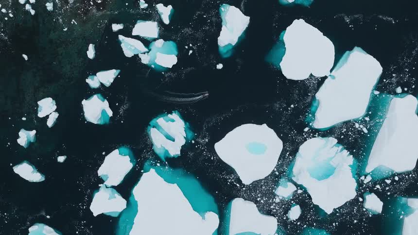 A topdown aerial view tracks a boat as it carefully navigates through a field of large scattered icebergs floating in dark arctic water