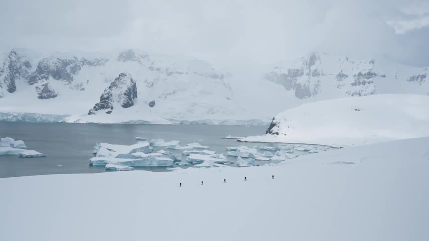 A bird flies over people as they cross country ski across frozen snow on the coast in the arctic