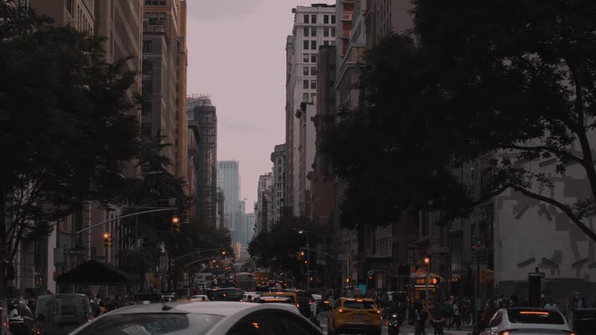 A deep city canyon street where heavy vehicular traffic including several yellow taxis moves between towering aged buildings all framed by the dark shadowy foliage of trees in the immediate foreground under a overcast sky
