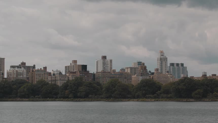 Apartments and high rise buildings as people walk along the coast and seagulls fly overhead
