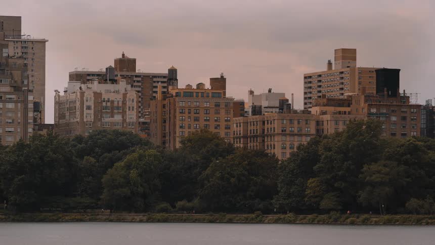 Earthtoned buildings rise above the treetops by the waterfront