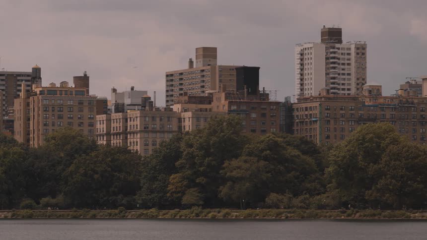 Residential buildings rise above a line of trees by a lakeshore under a cloudy sky
