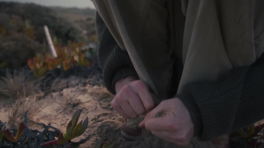Hands clutch damp sand among small plants