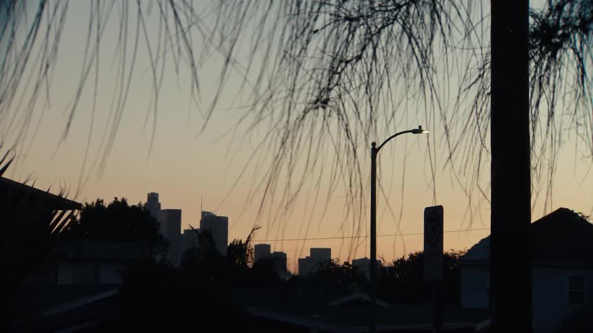 Tree moving in the wind on a neighborhood street with tall city buildings in the distance