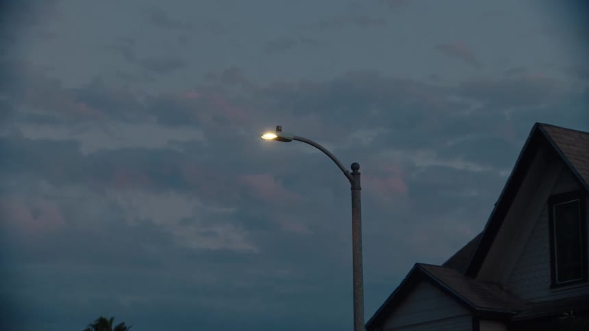 A view of a house and street lamp outdoors at dusk