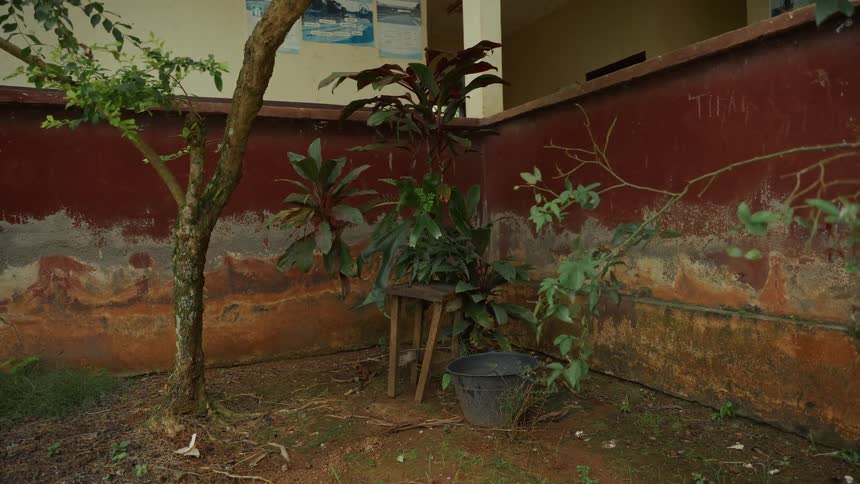 A small yard with a few plants are surrounded by concrete walls