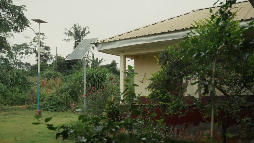 Solar panel on a pole outside of a house as plants move in the breeze