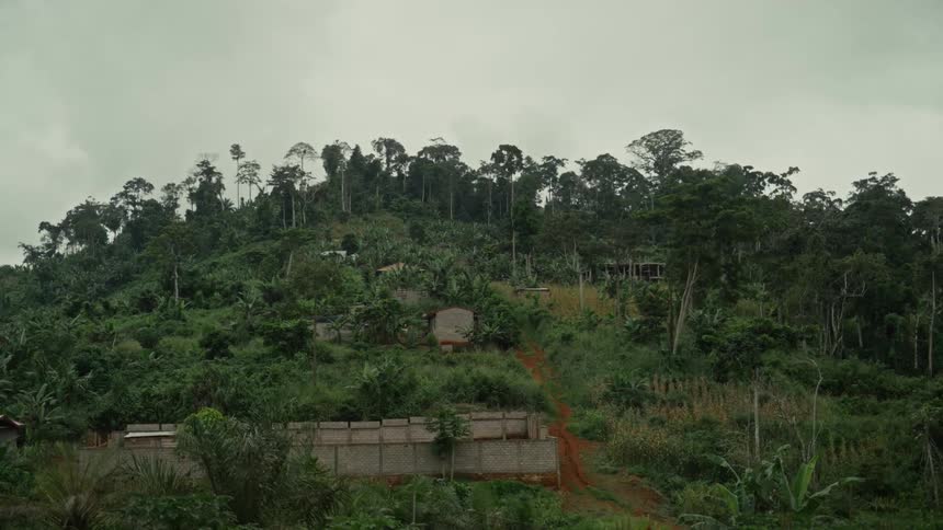 Small houses on a rural area surrounded by trees located on a slope outdoors during day time