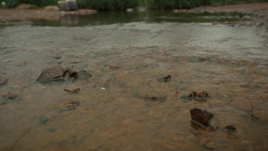 The video is a lowangle closeup shot of muddy reddishbrown water flowing slowly over dirt and small stones suggesting a shallow stream or runoff on the groundthe surface of the water shows slight rippling indicating movement while in the backgro