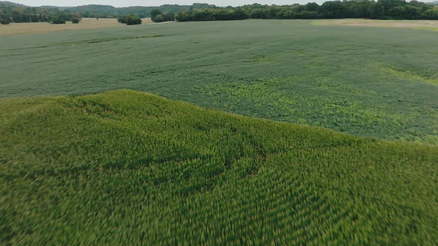Different colors of crops grow in large fields