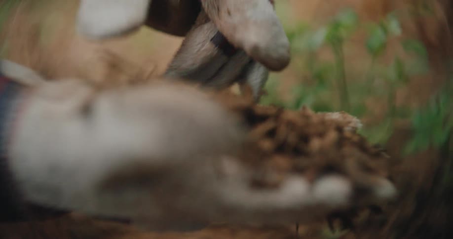 Man wearing gloves examines the dirt he picks up from the ground