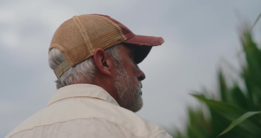 The video features an older man seen from behind and the side with gray hair and a beard pulling on a reddishbrown mesh baseball caphe is wearing a lightcolored collared shirt and is looking out at a field likely a cornfield under an overcast or