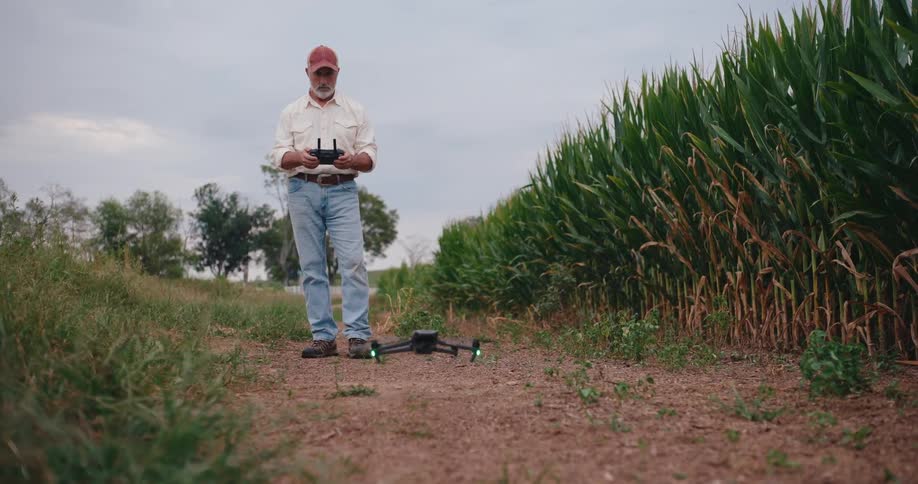Man standing next to a cornfield holding the controller for a drone as the drone flies up into the air