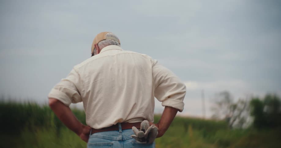 A farmer stands with his hands on his hips thoughtfully surveying a field under an overcast sky