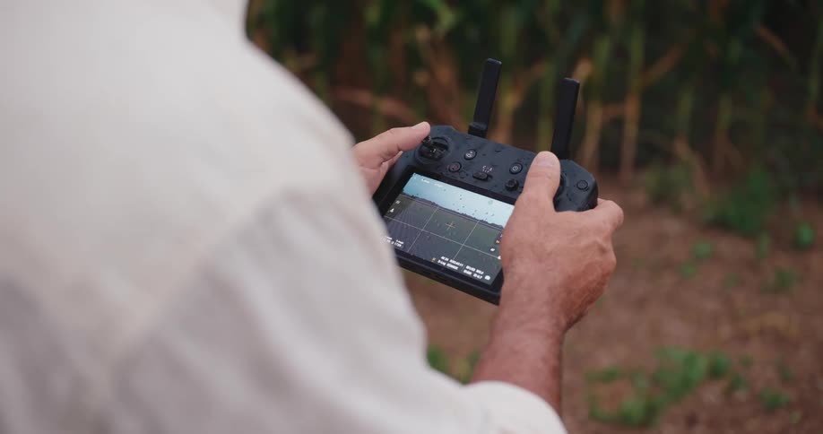 A man standing in a field of corn using a controller