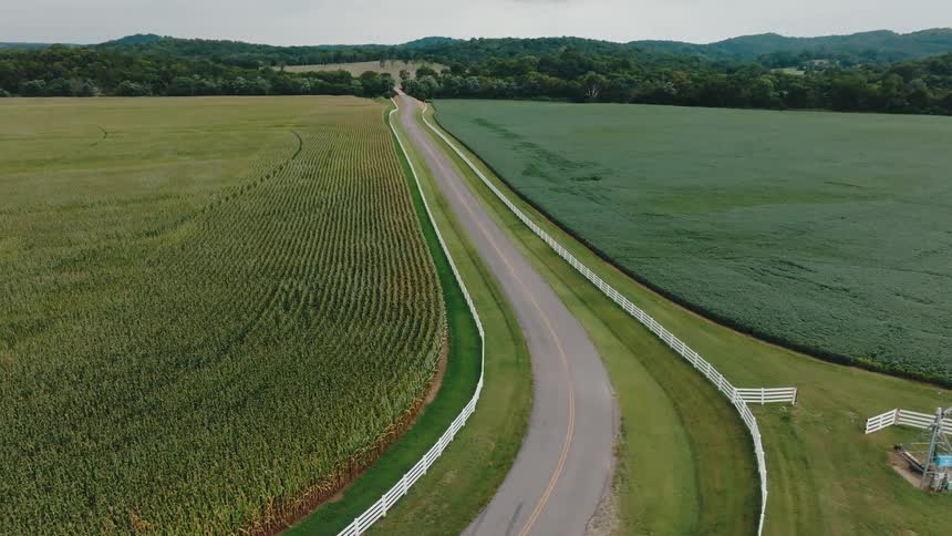 An aerial view of fields full of crops