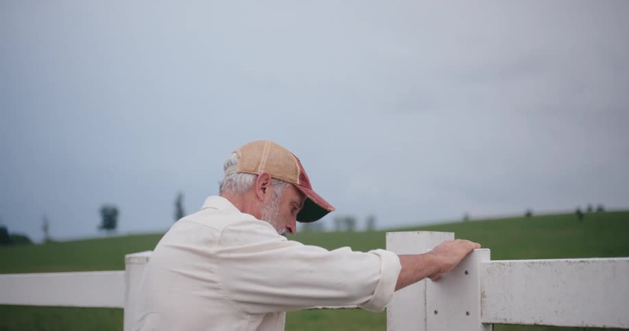 Older man closes the gate leading to a pasture occupied by cattle