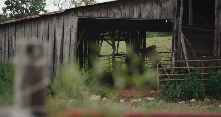 A weathered wooden barn with a rusted metal roof large open doorway and a partially collapsed section surrounded by overgrown foliage