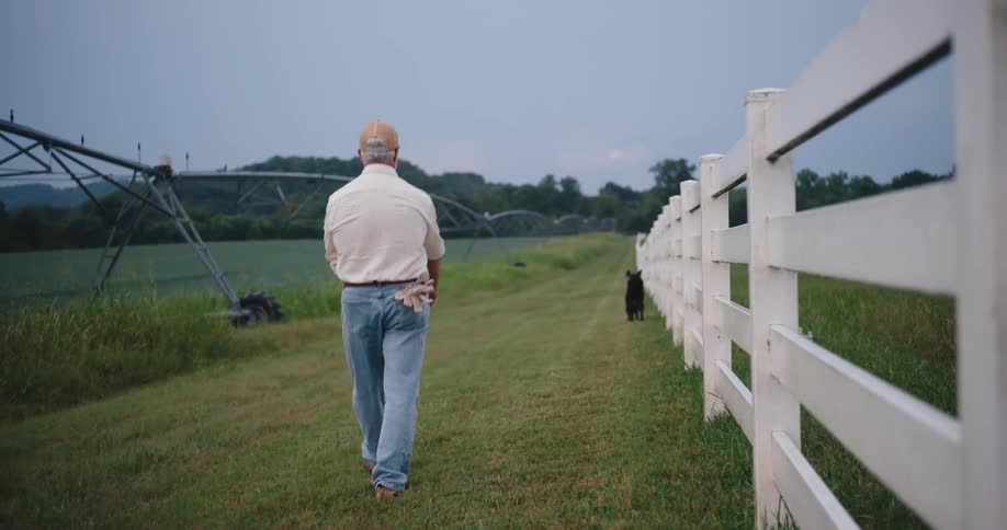 Older farmer follows an animal paralleling a fence and a crop field