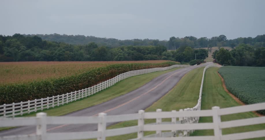 A rural road bordered by white wooden fences flanked by green and brown fields with dense trees in the background under a cloudy sky