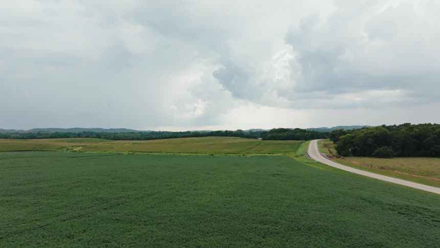 A road runs between fields of crops and a wooded area